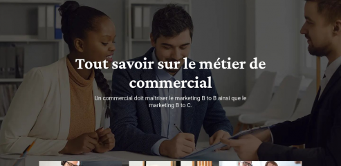 https://www.emploicommercial.fr